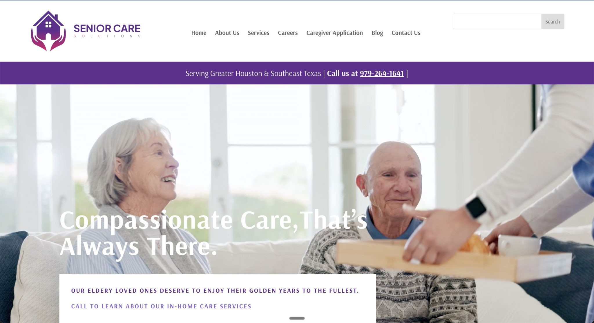Senior Care Solutions website designed by KGY Digital
